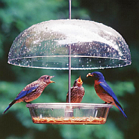 Bluebird Feeders